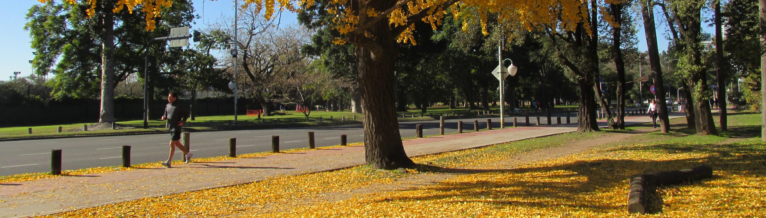 Av. Figueroa Alcorta