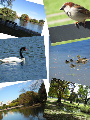 Galería - Parque 3 de Febrero